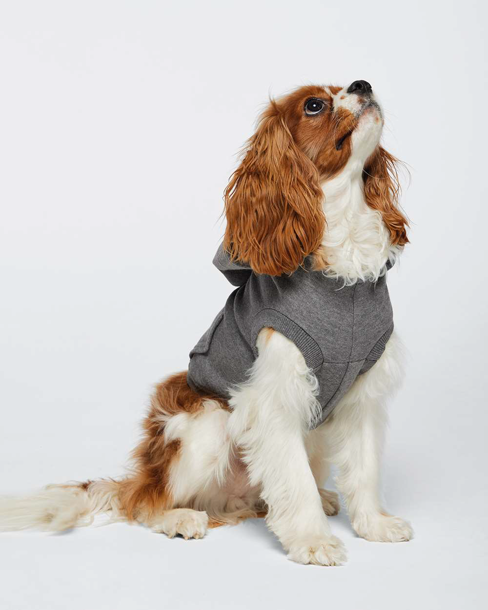 Olde Hickory Brewery Doggie 3-End Fleece Hoodie (click for more colors)